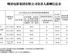 峨眉电影集团有限公司负责人薪酬信息披露